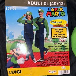 Nintendo Luigi Costume in Green and Navy with Hat